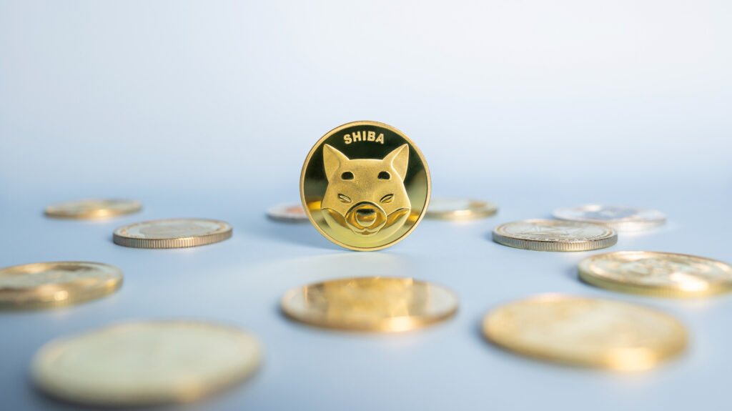 Is Shiba coin still worth buying?